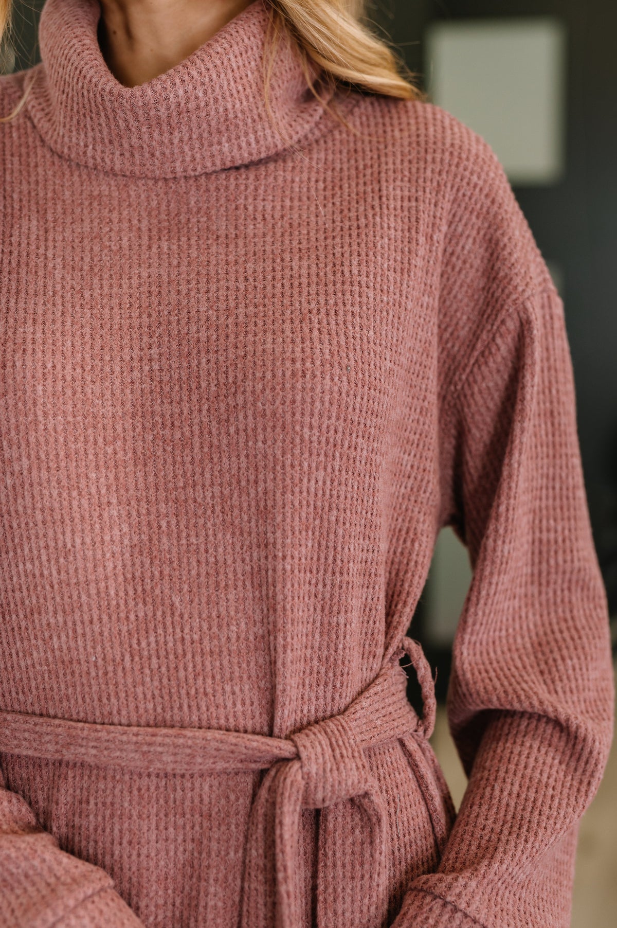 Travel Plush Knit Dress in Autumn Berry-Womens-Villari Chic, women's online fashion boutique in Severna, Maryland